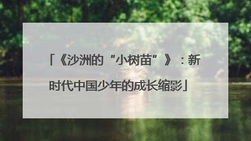 《沙洲的“小树苗”》：新时代中国少年的成长缩影