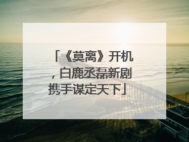 《莫离》开机，白鹿丞磊新剧携手谋定天下