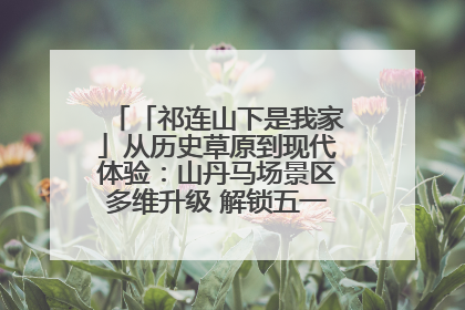 「祁连山下是我家」从历史草原到现代体验：山丹马场景区多维升级 解锁五一文旅新玩法