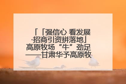 「强信心 看发展·招商引资拼落地」高原牧场“牛”劲足——甘肃华予高原牧场高标准奶牛肉牛养殖项目一线见闻