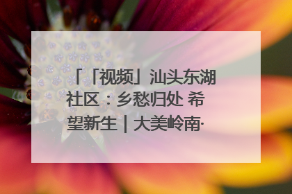 「视频」汕头东湖社区：乡愁归处 希望新生｜大美岭南·百村焕新记