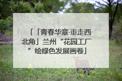 「青春华章·重走西北角」兰州“花园工厂”绘绿色发展画卷
