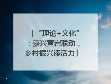 “理论+文化”：嘉兴黄岩联动，乡村振兴添活力