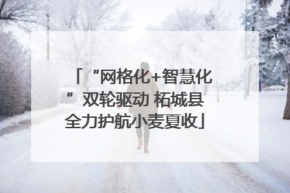 “网格化+智慧化”双轮驱动 柘城县全力护航小麦夏收
