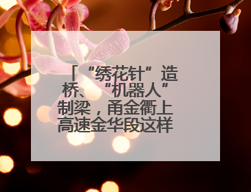 “绣花针”造桥、“机器人”制梁，甬金衢上高速金华段这样“智造”