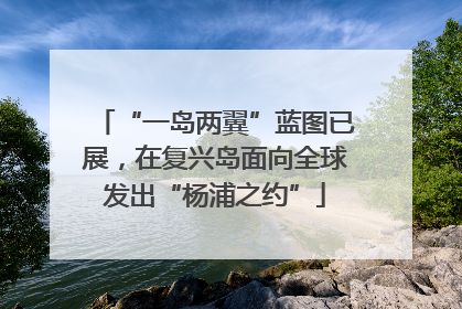 “一岛两翼”蓝图已展，在复兴岛面向全球发出“杨浦之约”