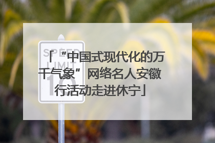 “中国式现代化的万千气象”网络名人安徽行活动走进休宁