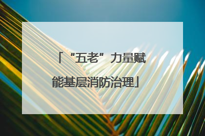 “五老”力量赋能基层消防治理