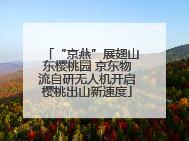 “京燕”展翅山东樱桃园 京东物流自研无人机开启樱桃出山新速度