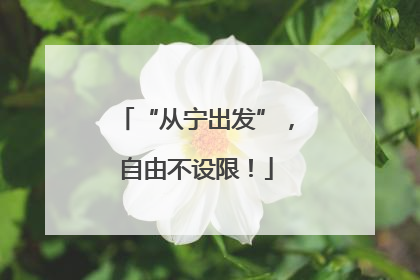 “从宁出发”，自由不设限！