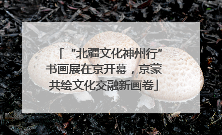 “北疆文化神州行”书画展在京开幕，京蒙共绘文化交融新画卷