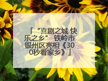“喜剧之城 快乐之乡” 铁岭市银州区亮相《300秒看家乡》