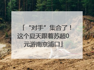 “对手”集合了！这个夏天跟着苏超0元游南京浦口