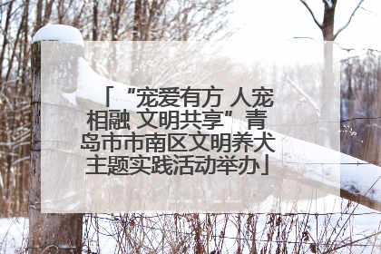 “宠爱有方 人宠相融 文明共享”青岛市市南区文明养犬主题实践活动举办