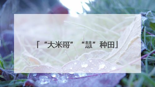 “大米哥”“慧”种田