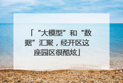 “大模型”和“数据”汇聚，经开区这座园区很酷炫