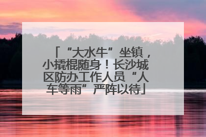 “大水牛”坐镇，小撬棍随身！长沙城区防办工作人员“人车等雨”严阵以待