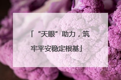 “天眼”助力，筑牢平安稳定根基