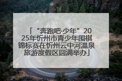 “奔跑吧·少年”2025年忻州市青少年围棋锦标赛在忻州云中河温泉旅游度假区圆满举办