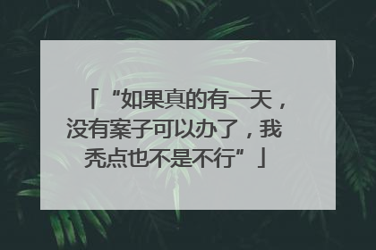 “如果真的有一天，没有案子可以办了，我秃点也不是不行”