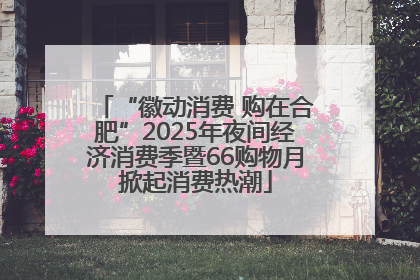 “徽动消费 购在合肥”2025年夜间经济消费季暨66购物月掀起消费热潮