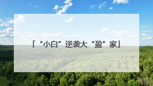 “小白”逆袭大“盈”家