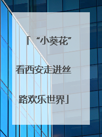 “小葵花”看西安走进丝路欢乐世界
