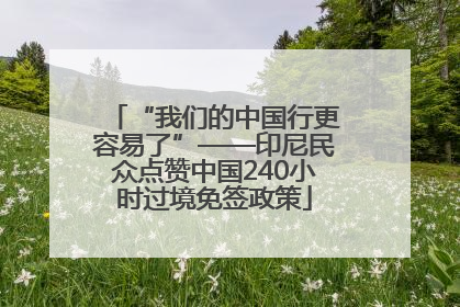 “我们的中国行更容易了”——印尼民众点赞中国240小时过境免签政策
