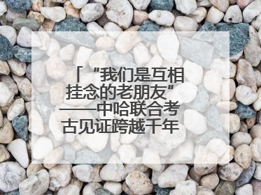 “我们是互相挂念的老朋友”——中哈联合考古见证跨越千年的文明交响