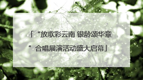 “放歌彩云南 银龄颂华章”合唱展演活动盛大启幕