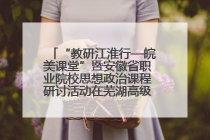 “教研江淮行—皖美课堂”暨安徽省职业院校思想政治课程研讨活动在芜湖高级职业技术学校举行
