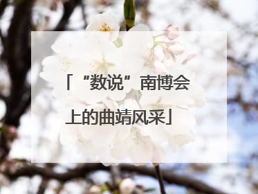 “数说”南博会上的曲靖风采