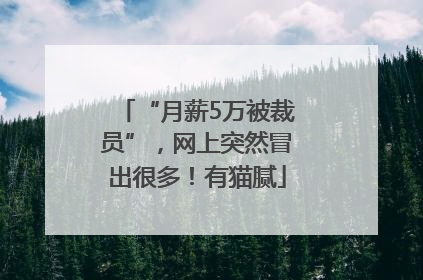“月薪5万被裁员”，网上突然冒出很多！有猫腻