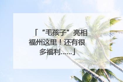 “毛孩子”亮相福州这里！还有很多福利……
