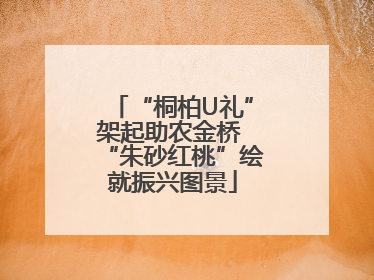“桐柏U礼”架起助农金桥 “朱砂红桃”绘就振兴图景