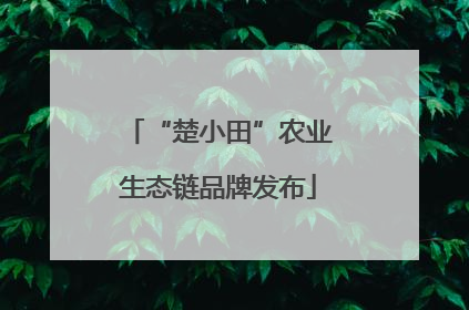 “楚小田”农业生态链品牌发布