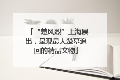 “楚风烈”上海展出，呈现最大楚墓追回的精品文物