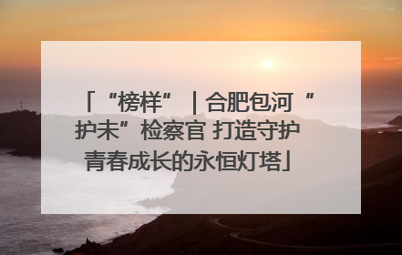 “榜样”｜合肥包河“护未”检察官 打造守护青春成长的永恒灯塔