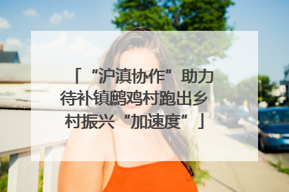 “沪滇协作”助力待补镇鹧鸡村跑出乡村振兴“加速度”