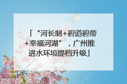 “河长制+碧道碧带+幸福河湖”，广州推进水环境提档升级