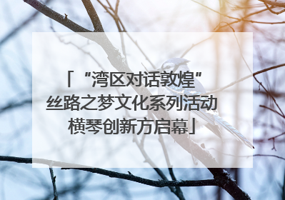 “湾区对话敦煌” 丝路之梦文化系列活动横琴创新方启幕