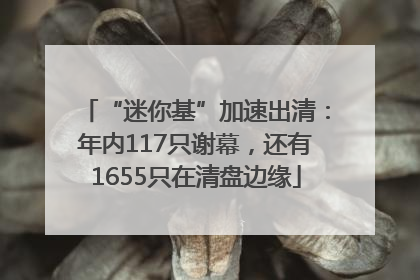 “迷你基”加速出清：年内117只谢幕，还有1655只在清盘边缘