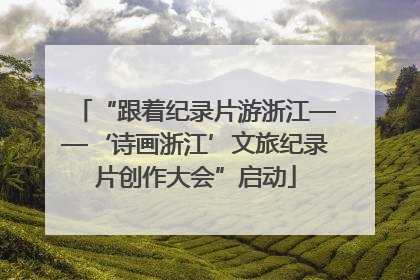“跟着纪录片游浙江——‘诗画浙江’文旅纪录片创作大会”启动