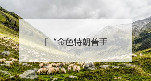 “金色特朗普手机”拟上市：美国制造、反映美国人价值观？质疑者：像天方夜谭