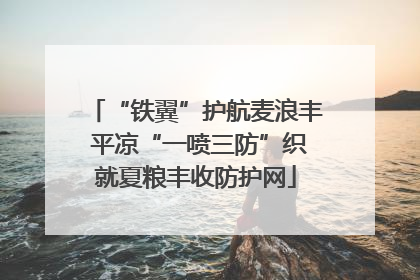 “铁翼”护航麦浪丰 平凉“一喷三防”织就夏粮丰收防护网