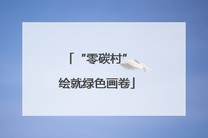 “零碳村” 绘就绿色画卷