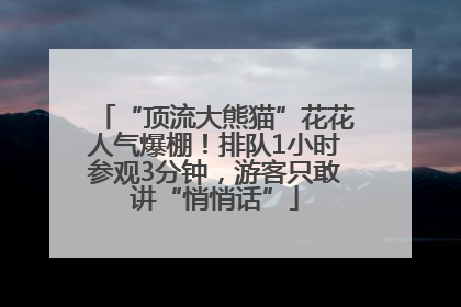 “顶流大熊猫”花花人气爆棚！排队1小时参观3分钟，游客只敢讲“悄悄话”