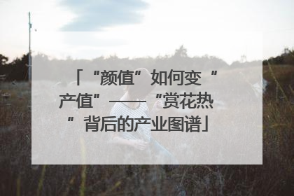 “颜值”如何变“产值”——“赏花热”背后的产业图谱