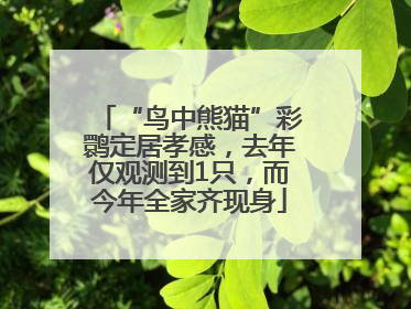 “鸟中熊猫”彩鹮定居孝感，去年仅观测到1只，而今年全家齐现身