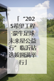 “2025希望工程·蒙牛足球未来星公益行”临沂站选拔圆满举行